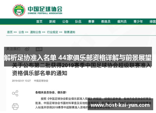 解析足协准入名单 44家俱乐部资格详解与前景展望