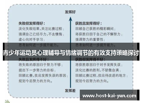 青少年运动员心理辅导与情绪调节的有效支持策略探讨